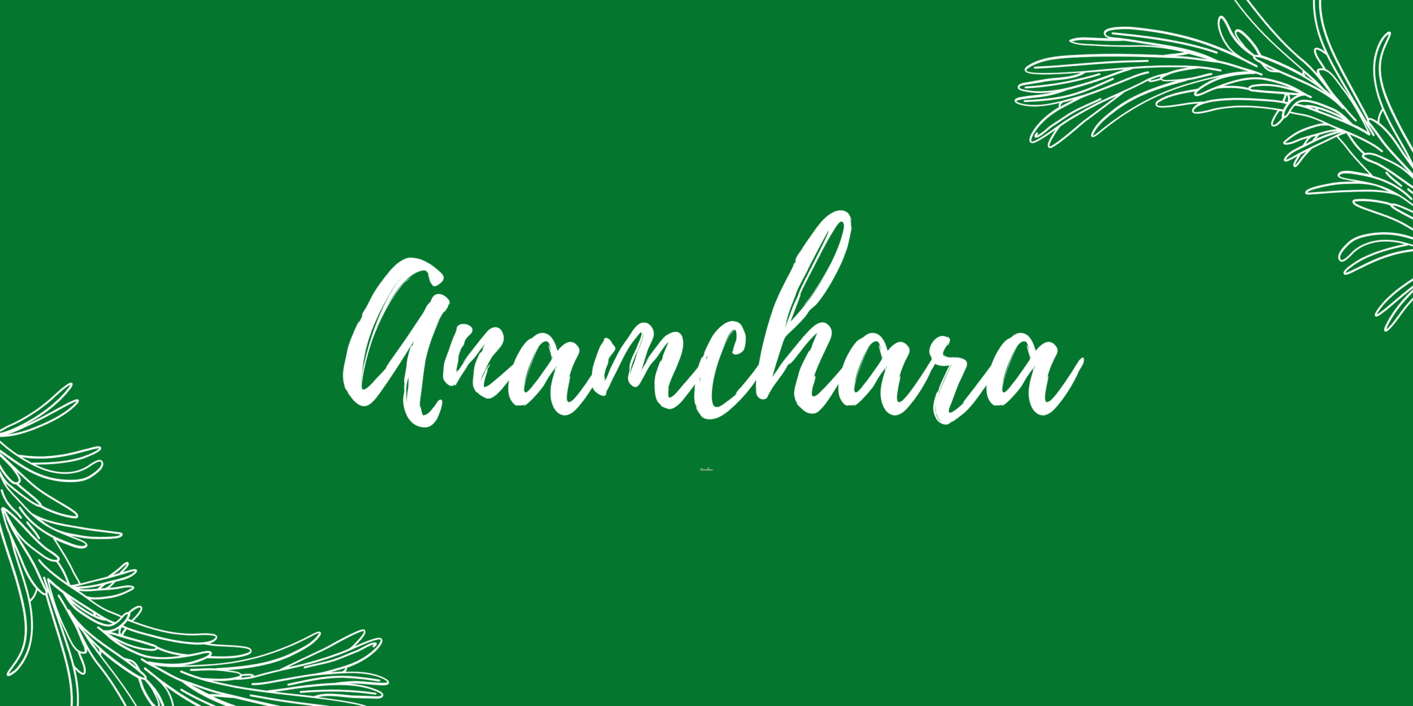 Anamchara Part 2: Spiritual Direction