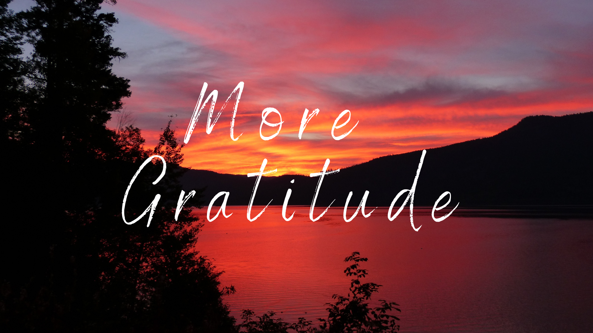 Gratitude